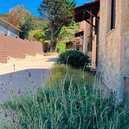 Palma Seaside Villa 1 Szárti Kültér fotó